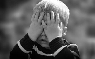 WAZ-Artikel: AfD und Trump als größte Gefahr für Trans-Kinder