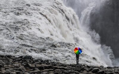 Warum es ein gutes Zeichen ist, den Trans-Day verpasst zu haben